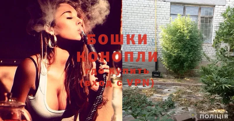 Шишки марихуана SATIVA & INDICA  Нелидово 